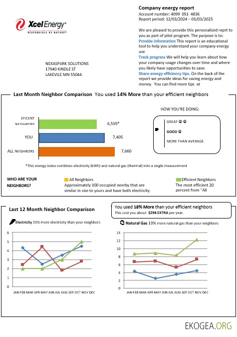 Modèle de facture de services publics d'entreprise USA Minnesota Xcel Energy aux formats Word et PDF